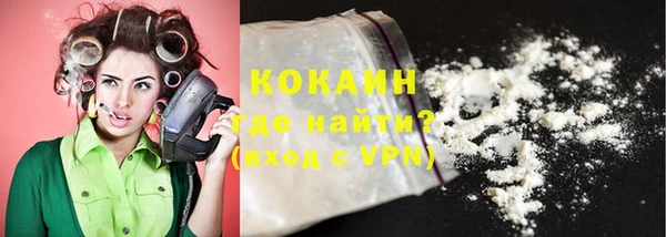 ECSTASY Богданович