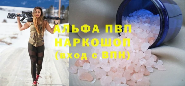 стаф Богородицк