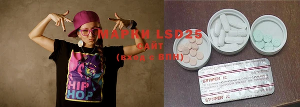 ECSTASY Богданович
