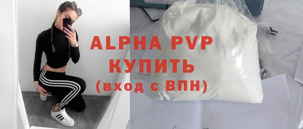 ECSTASY Богданович