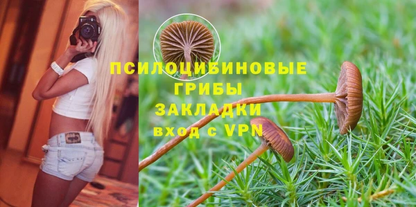 каннабис Богородск