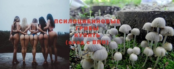 стаф Богородицк