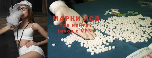 стаф Богородицк