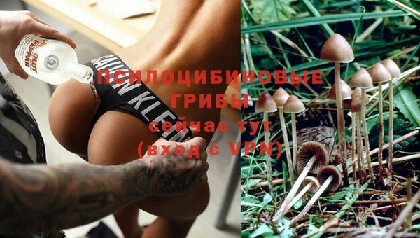 ECSTASY Богданович