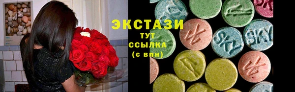 ECSTASY Богданович