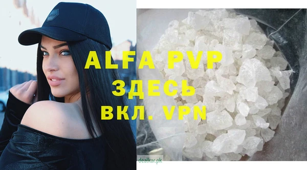 стаф Богородицк