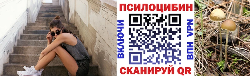 Псилоцибиновые грибы мухоморы  блэк спрут маркетплейс  Киселёвск  купить наркотик 